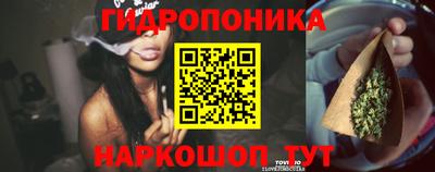 Альфа ПВП Брянск
