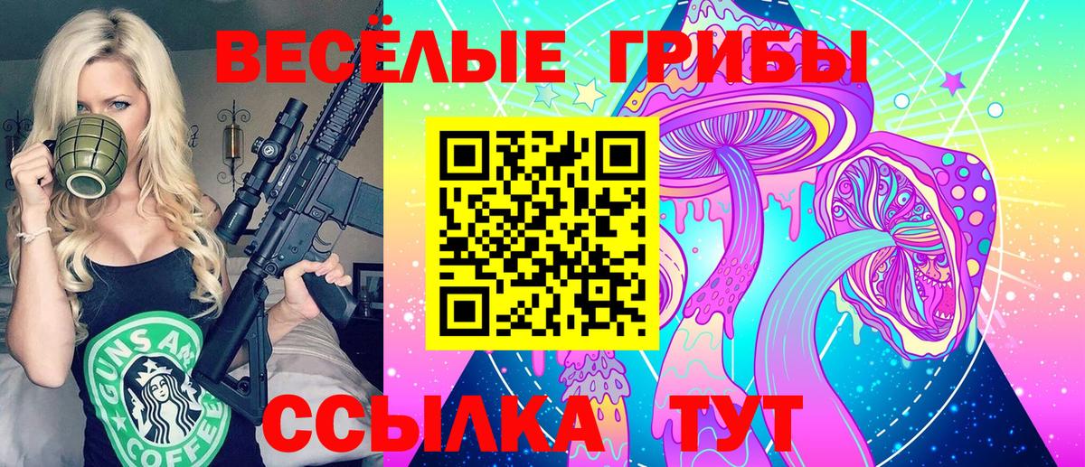 Галлюциногенные грибы MAGIC MUSHROOMS Горно-Алтайск