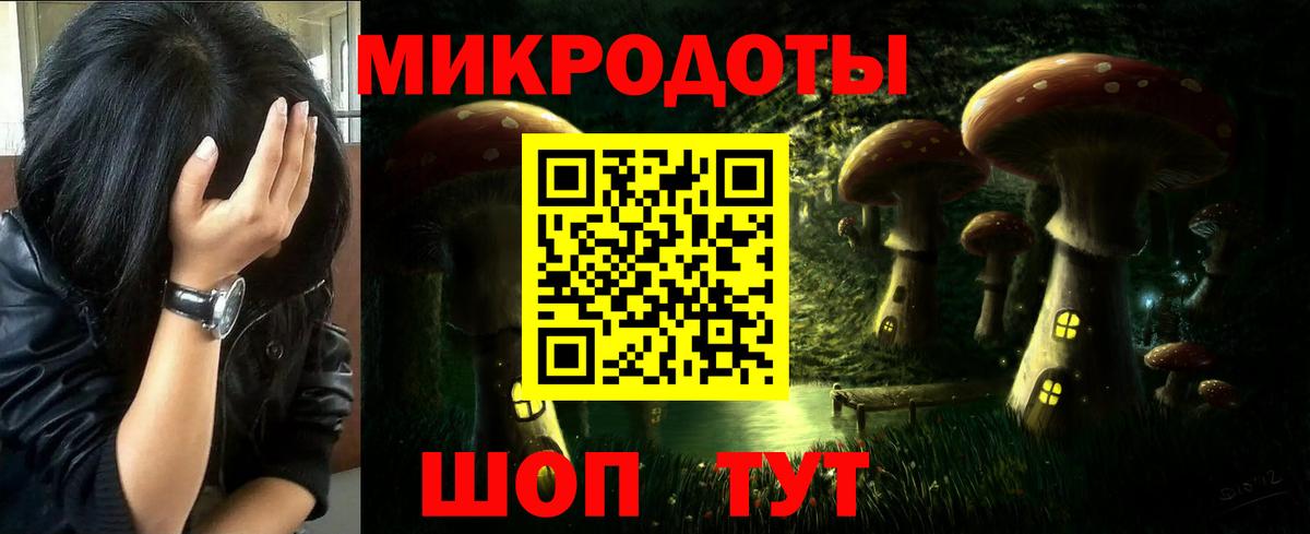 Горно-Алтайск  Галлюциногенные грибы ЛСД  Вход с VPN 